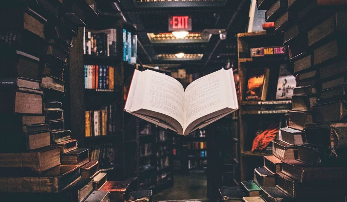 O colunista - Outubro mês do livro
