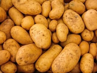 Batata: Preços iniciam outubro com leve alta