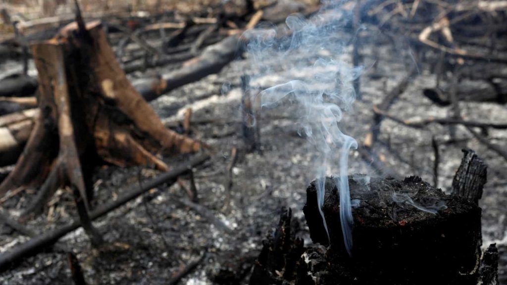 Focos de incêndio na Amazônia caíram 16% em setembro