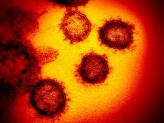 Reino Unido diz ter localizado variante do coronavírus que pode estar associada a aumento de casos