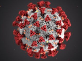 Recuperados da covid-19 têm imunidade de até cinco meses mas podem transmitir vírus, aponta estudo