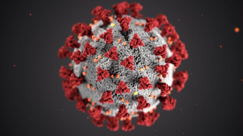 Recuperados da covid-19 têm imunidade de até cinco meses mas podem transmitir vírus, aponta estudo