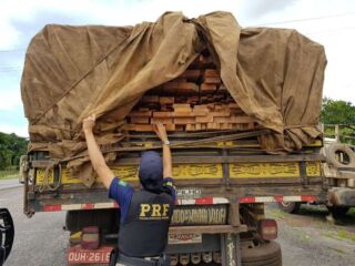 Polícia Rodoviária Apreende 46,11m³ de madeira em caminhão ilegal na BR-230, em Marabá (PA)