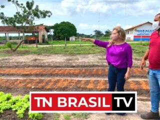 Agricultura familiar tem sido pauta da agenda política da Deputada Nilse Pinheiro