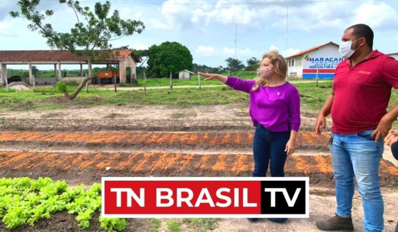 Agricultura familiar tem sido pauta da agenda política da Deputada Nilse Pinheiro