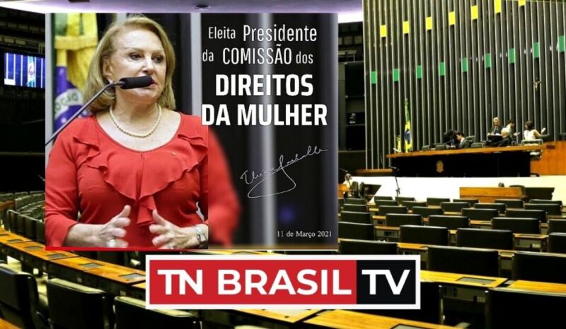 Elcione Barbalho presidirá a COMISSÃO DOS DIREITOS DA MULHER NO CONGRESSO NACIONAL