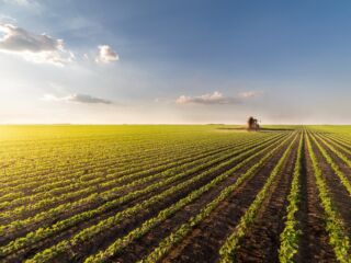 Faturamento agropecuário está previsto em R$ 1 trilhão neste ano