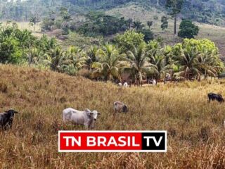 Adepará: Está prorrogado até o mês de outubro a atualização cadastral de produtores rurais