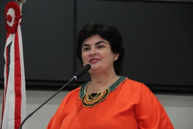 Heloisa Guimaraes