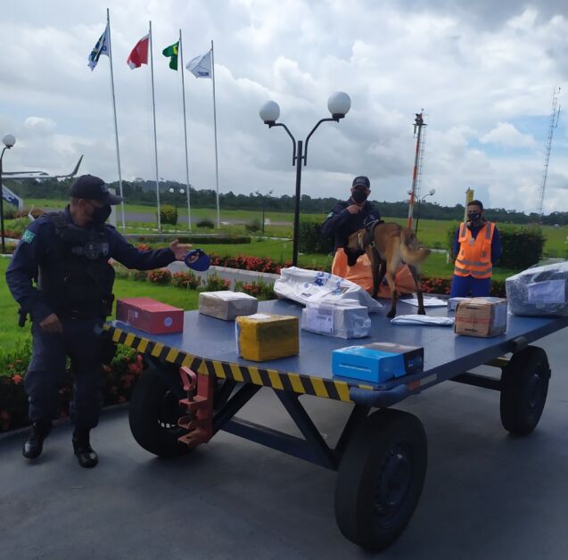 Aeroporto de Altamira, no Pará, é alvo de fiscalização da PF