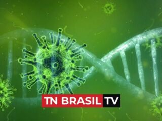 5.632 Pessoas já se Recuperaram da Covid-19 em Tailândia. Confira.