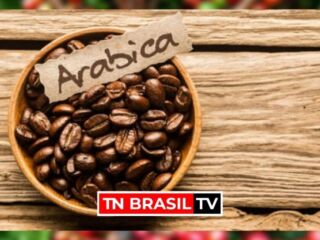 Agronegócio: Café arábica está prestes a bater o valor histórico de R$ 1 mil por saca