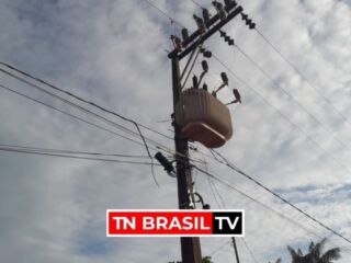 Distrito Palmares há mais de 12 horas sem energia