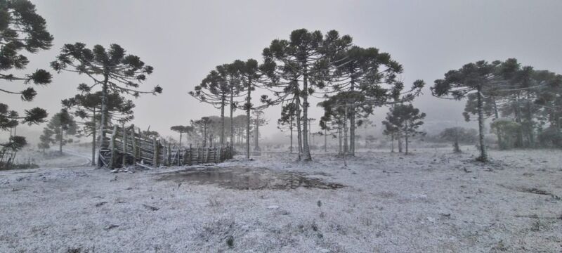 Brasil ou Europa? - Neve se acumula sobre carros em Santa Catarina