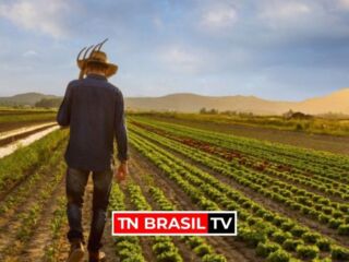 Adepará investe no potencial competitivo e sustentável da agricultura paraense