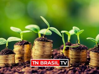 Balança do agronegócio tem superávit de US$ 10,1 bi em julho, diz Ipea