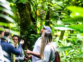 Belém recebe uma ação do programa Amazônia Up.