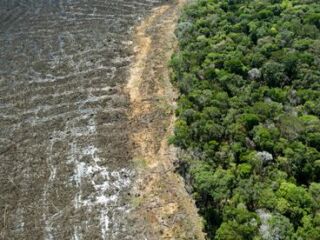 O desmatamento da Amazônia e manchete na Imprensa Europeia.