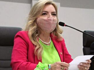 Nilse Pinheiro fecha o ano com destaques na defesa da mulher, ação social, educação e infraestrutura