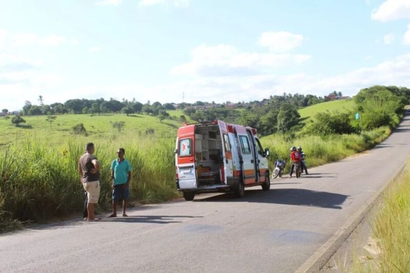 Enxame de abelhas invade uma Van que perde o controle e cai em ribanceira.