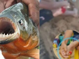 Banhistas sofrem ataques de piranhas no sudeste do Pará