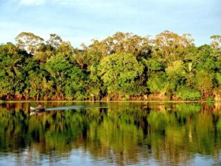 Pesquisa aponta que para o eleitor paraense o conhecimento sobre a Amazônia influencia na escolha do próximo presidente