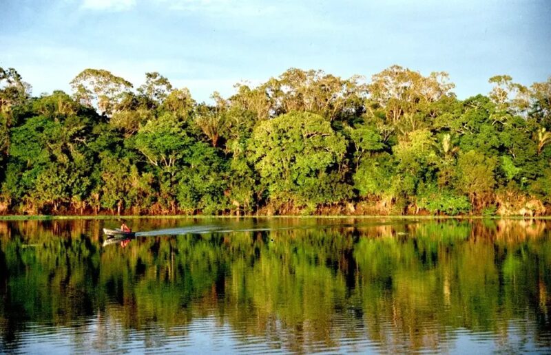 Pesquisa aponta que para o eleitor paraense o conhecimento sobre a Amazônia influencia na escolha do próximo presidente