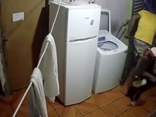 Ladrão invade casa e exige socorro após ser mordido