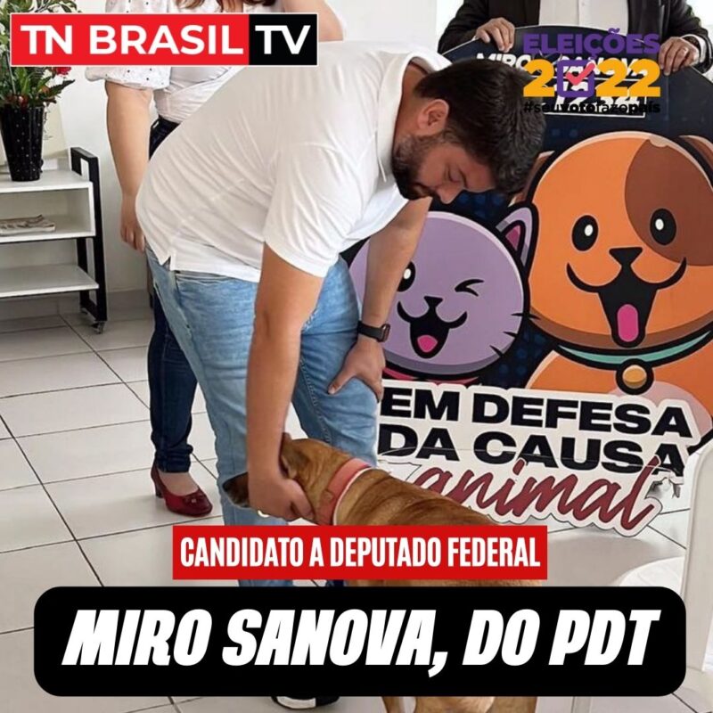 CAUSA ANIMAL: Miro Sanova se reune com protetores de animais de Ananindeua