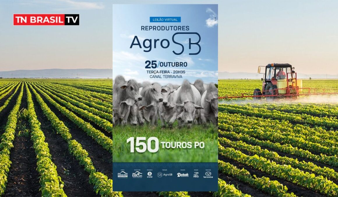 Leilão Virtual "REPRODUTORES" AgroSB acontecerá no dia 25 de outubro - IMPERDÍVEL