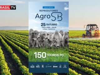 Leilão Virtual "REPRODUTORES" AgroSB acontecerá no dia 25 de outubro - IMPERDÍVEL