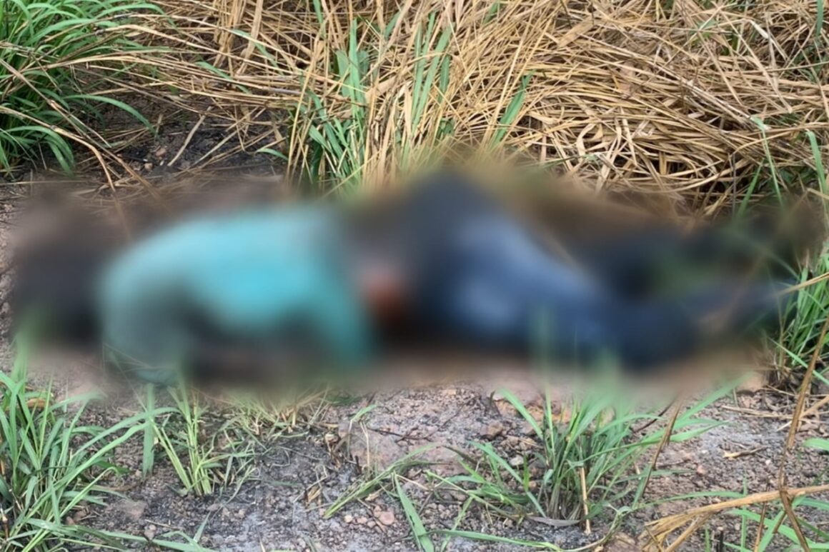Corpo de motorista de aplicativo desaparecido é encontrado carbonizado, em Marabá