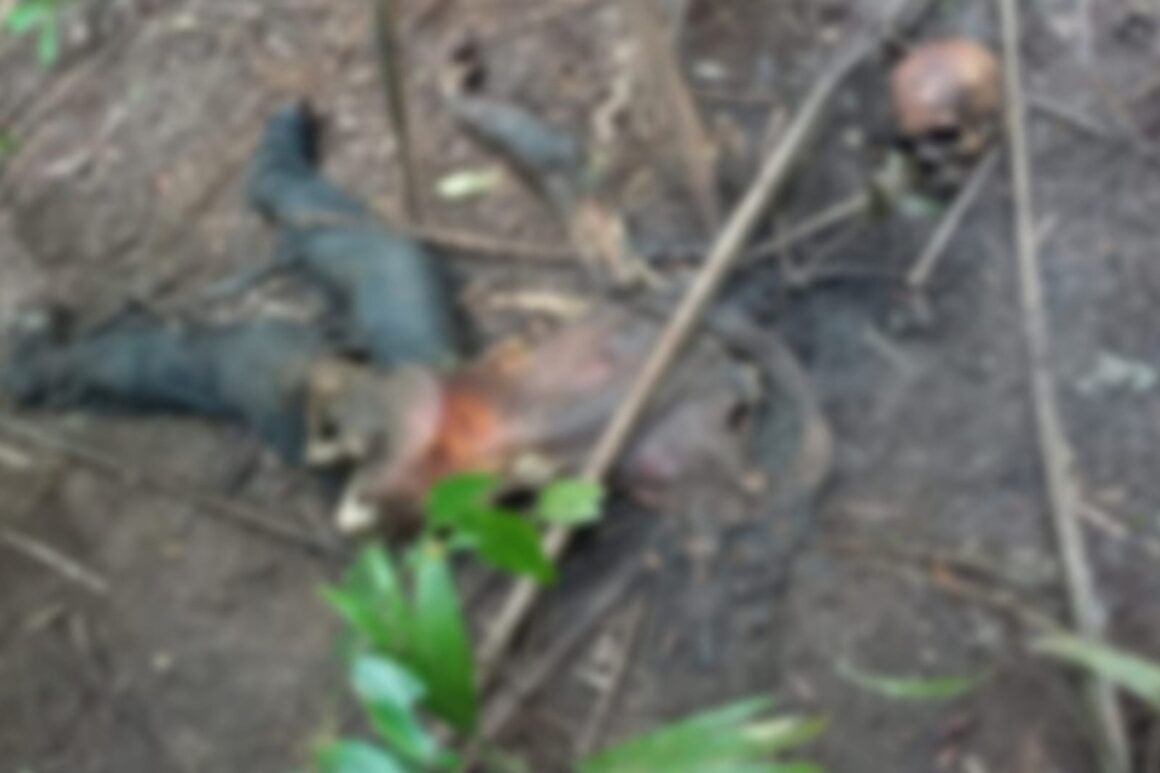 Corpo é encontrado em estado avançado de decomposição no Pará