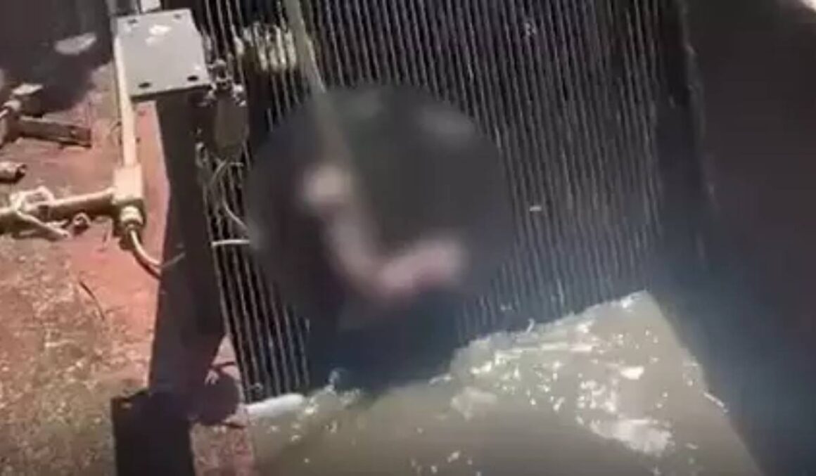 Braço humano é encontrado em estação de esgoto