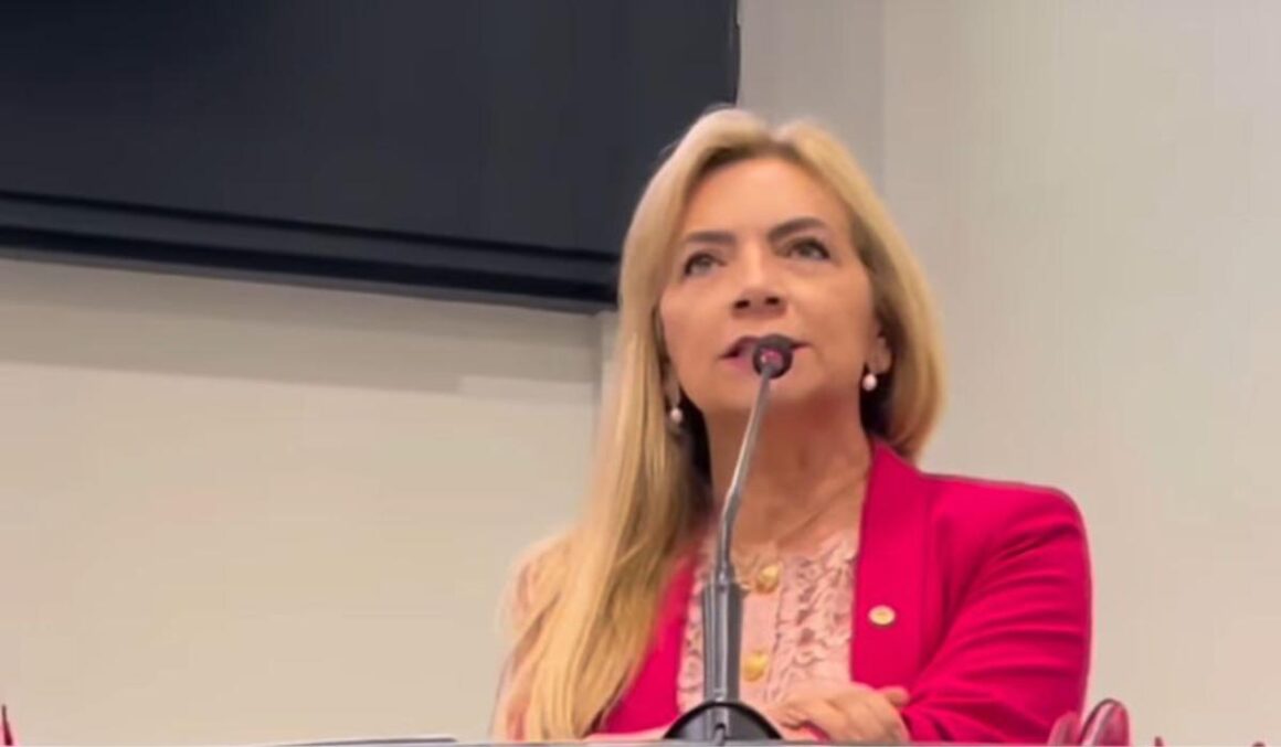 Nilse Pinheiro: Projeto de Lei institui Semana de Mobilização e Enfrentamento à violência contra idosos