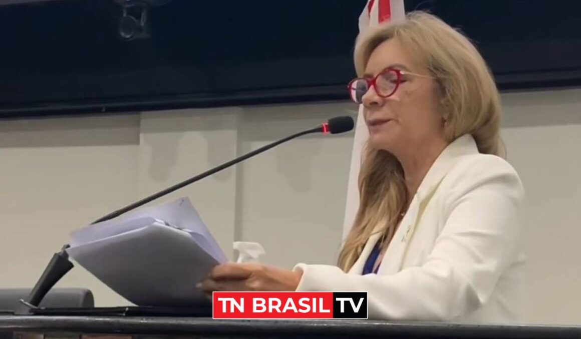 Aprovado PL da deputada Professora Nilse que Institui a Semana de enfrentamento à violência contra a pessoa idosa