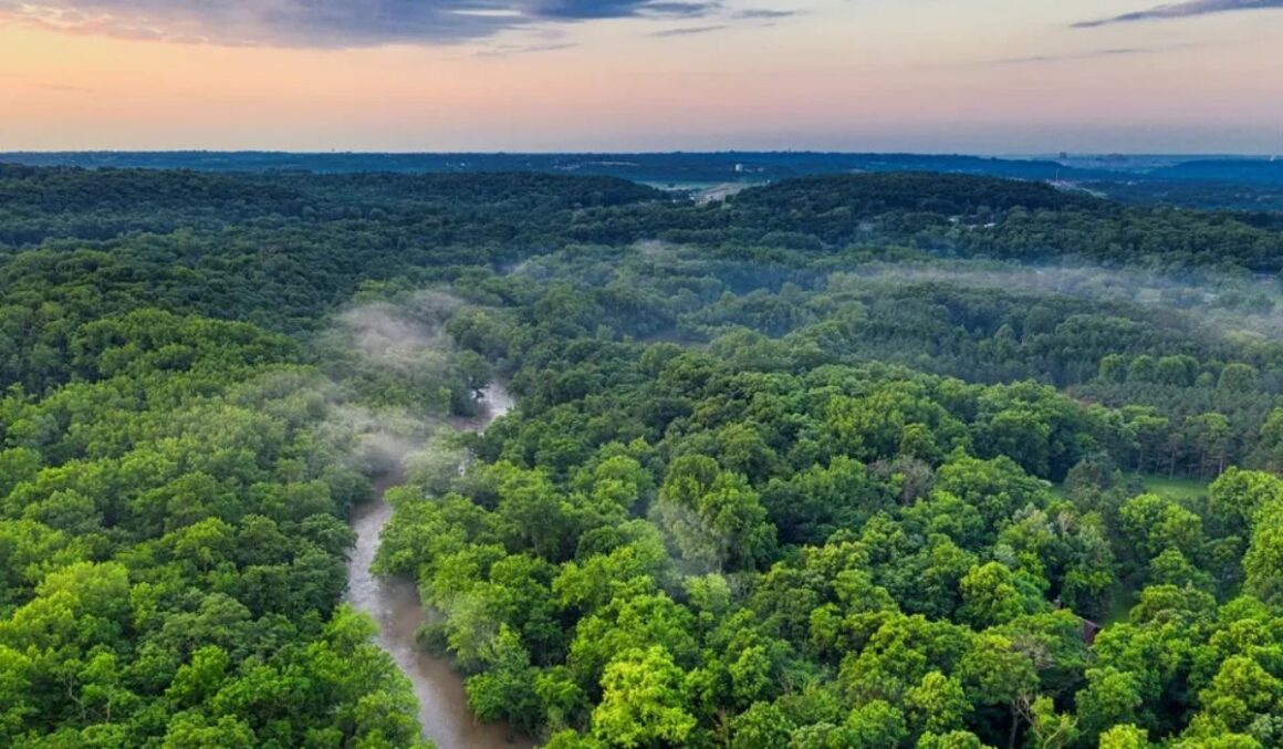 Governo reativa fundo Amazônia e Alemanha repassa R$ 200 milhões