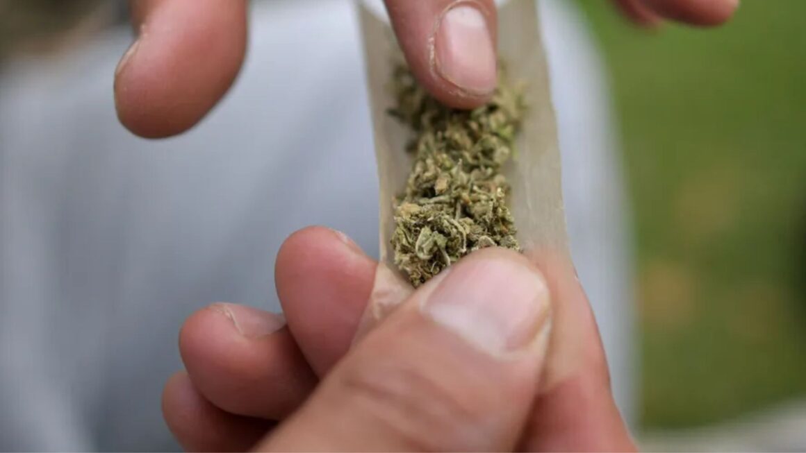 Descriminalização da posse de maconha: STF adia julgamento, placar está 3x0 a favor