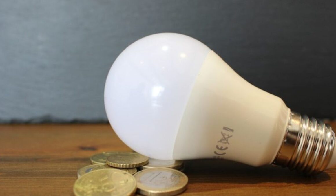Pará consegue suspender aumento de 18% da energia elétrica