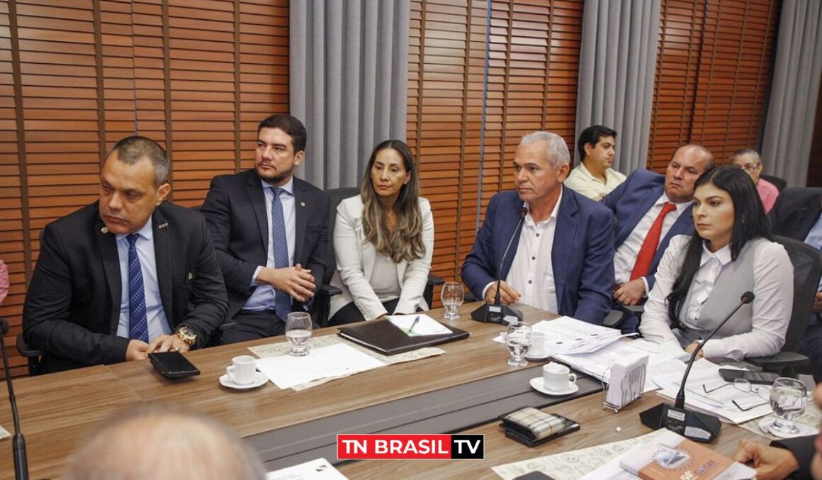 Deputado Ronie Silva reúne com a Federação das Associações de Municípios do Estado do Pará (FAMEP)