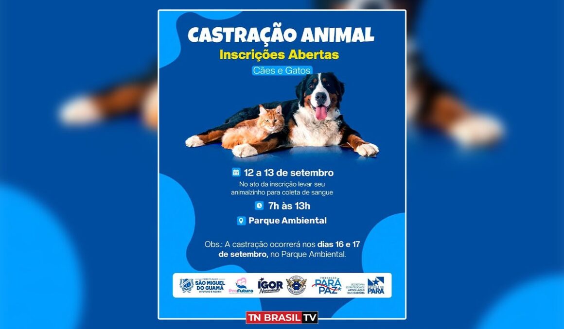 Imagem: Reprodução/instagram