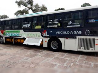 COP30 em Belém: governo federal libera mais de R$ 368 milhões para compra de 265 ônibus com ar-condicionado