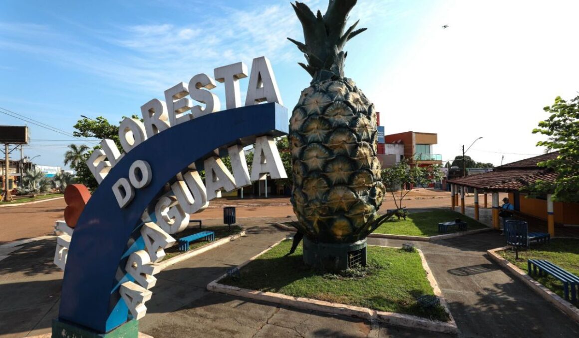 Cidade mais violenta da Amazônia fica no Pará e é marcada por conflitos de terra, aponta estudo