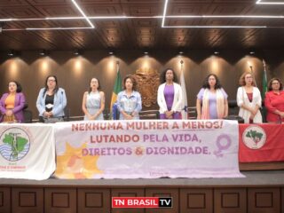 Sessão Especial na Alepa debate políticas públicas para mulheres