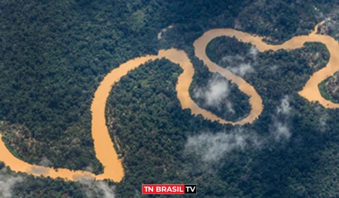 STF pede informações sobre municipalização de licença ambiental em garimpo no Pará