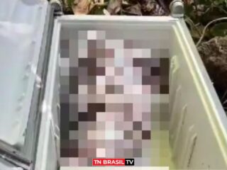 Homem mata sogra com ajuda da namorada e tenta esconder corpo em geladeira