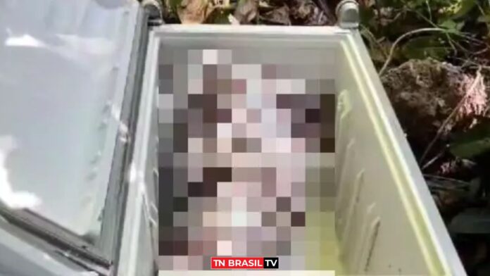 Homem mata sogra com ajuda da namorada e tenta esconder corpo em geladeira