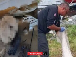 IMAGENS FORTES! Membros de corpo humano são encontrados em Manaus