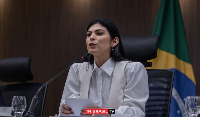 Deputada Diana Belo coordena audiência pública sobre emancipação de distritos do Pará