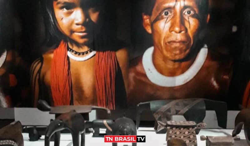 Na Semana dos Povos Indígenas, Exposição Bancos Indígenas do Brasil – Grafismos faz um resgate da importância da cultura indígena na formação do povo brasileiro.